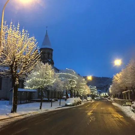 Le Cosy De Claire * La Bourboule